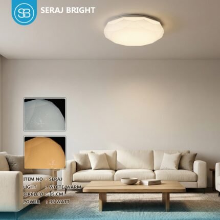 photo 2 2026 03 07 16 41 18