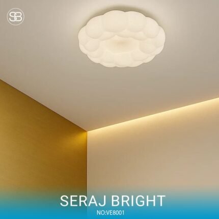 طبق ريموت كنترول